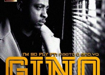 GINO 2