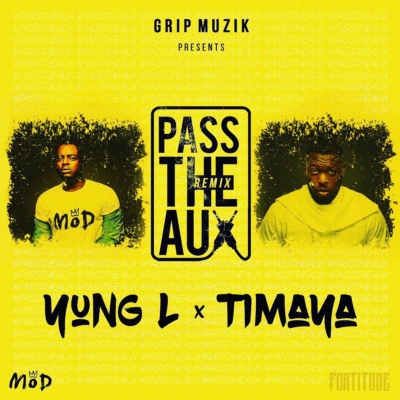 Yung L - Pass The Aux (Remix) ft. Timaya 1 auxx