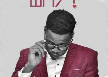 Bobcity Why mp3 image