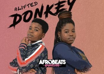 Donkey Good