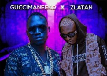 Guccimaneeko ft Zlatan Ibile Malemole mp3 image