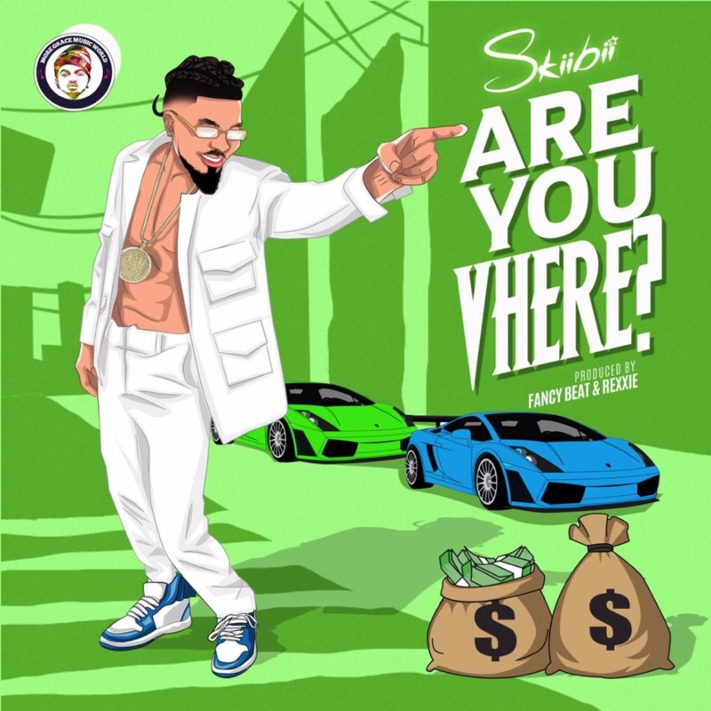 SkiiBii - Are You Vhere 15 SkiiBii