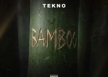 Tekno β Bamboo Lyrics 3 Tekno β Bamboo